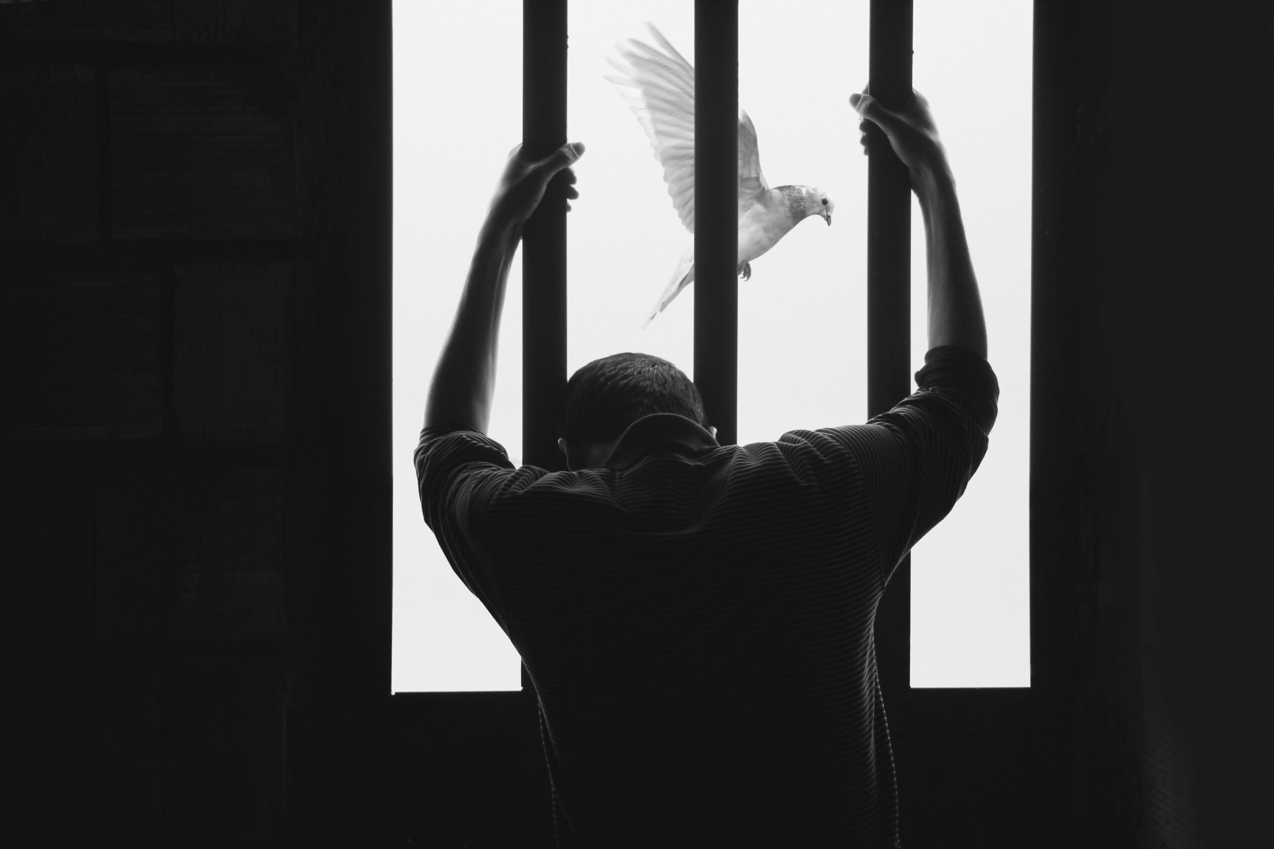 Find Purpose In Your Prison